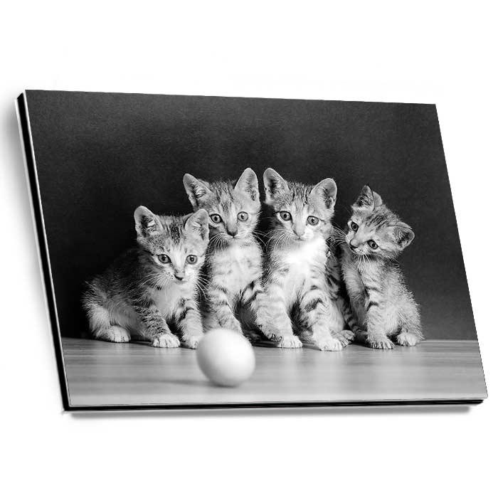 Schwarz-weiß-Foto mit Hahnemühle Smooth Matt Cotton auf Alu-Dibond