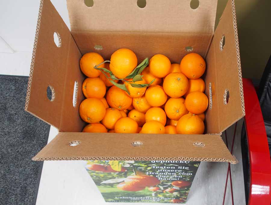 Orangenkiste mit frischen Orangen beim Ausgang unserer Ausstellungsräume in Neubiberg, die unsere Kunden kostenllos mitnehmen dürfen!