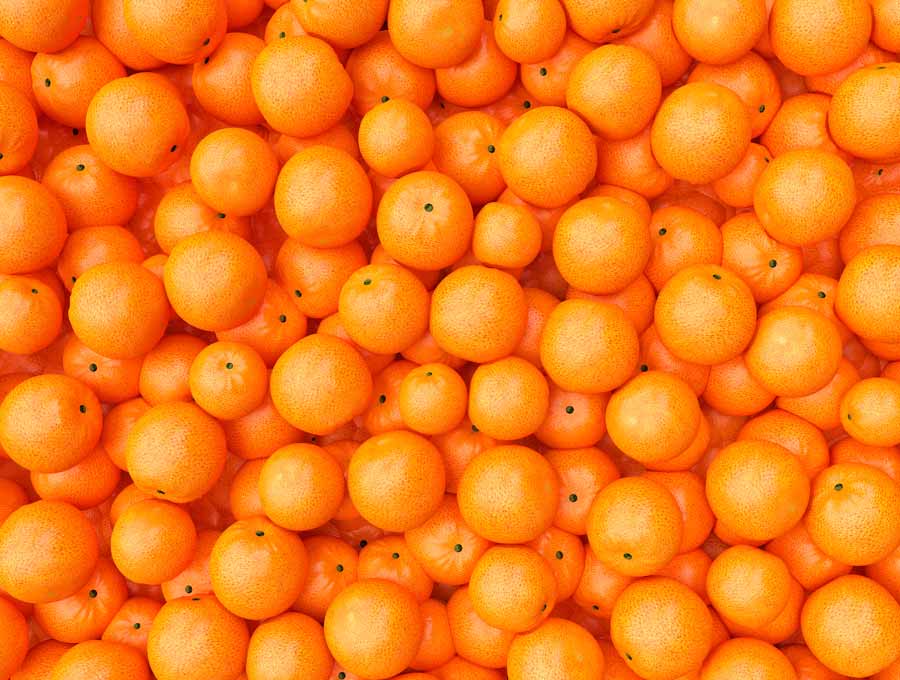 Viele frisch geerntete Orangen in einer großen Transportkiste - kostenlos für digiposter Kunden in Neubiberg